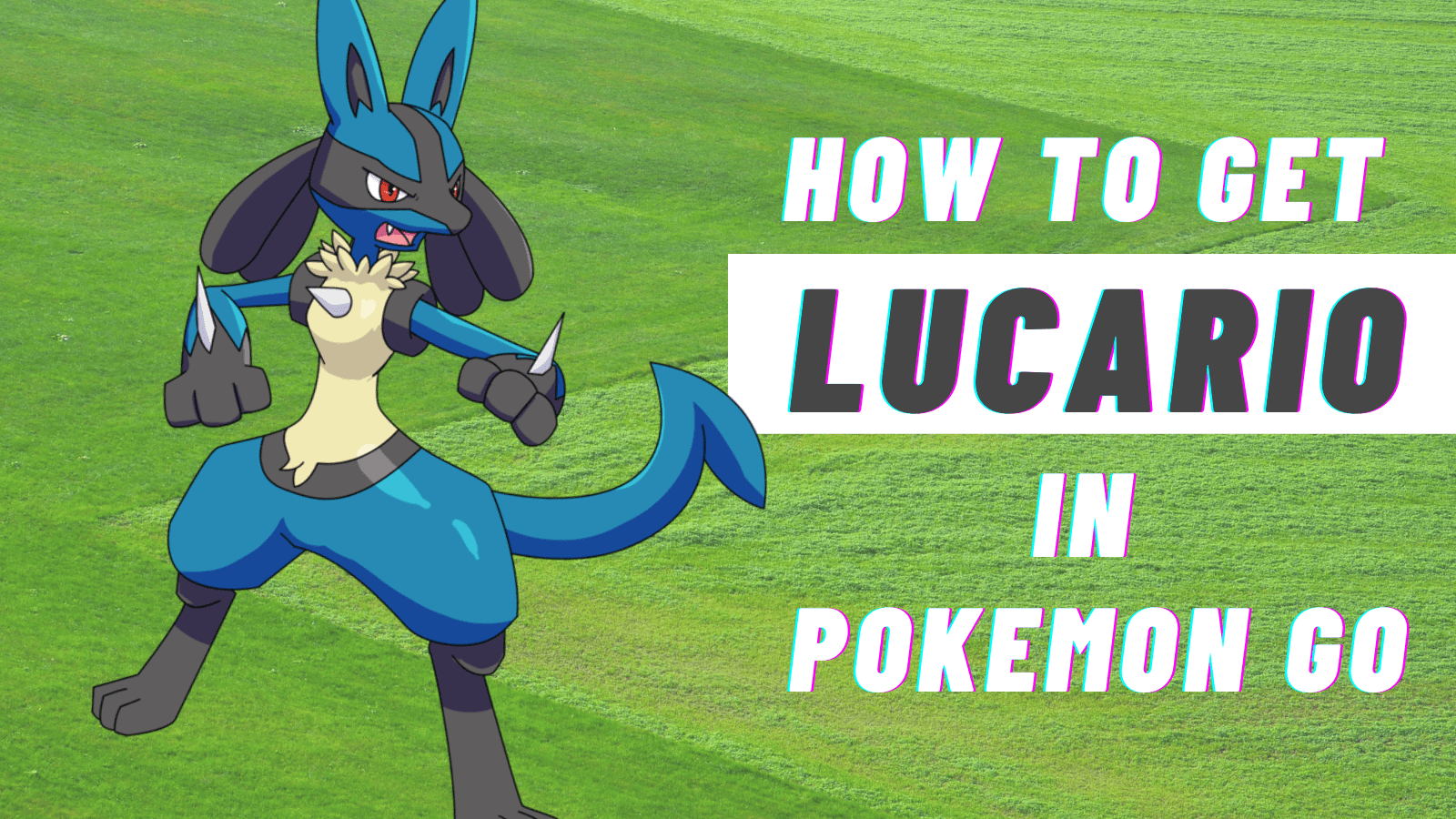 pokemon riolu and lucario