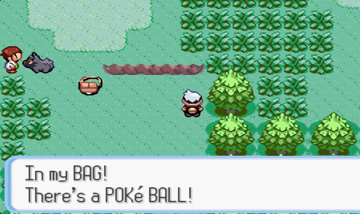 Pokemon Foodon Ruby ROM free download