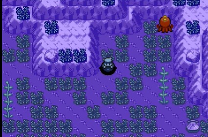 Pokemon Maxie’s Island ROM free download