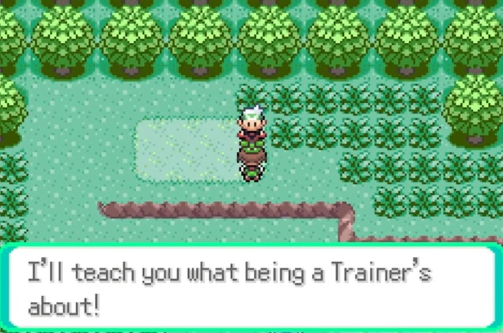 Pokemon Run & Bun ROM free download